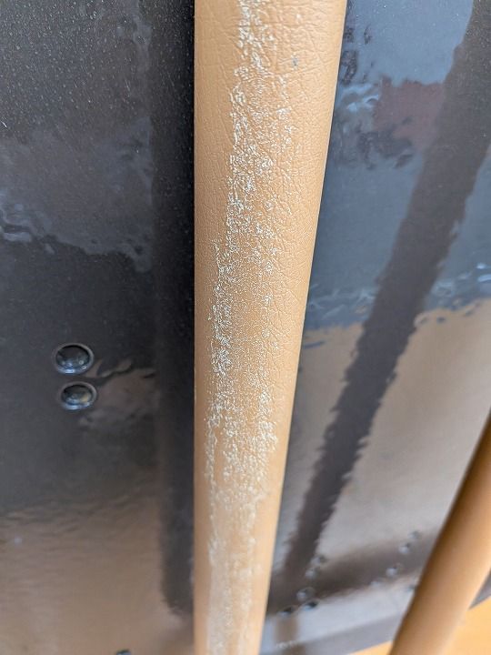 モルテンルーツ