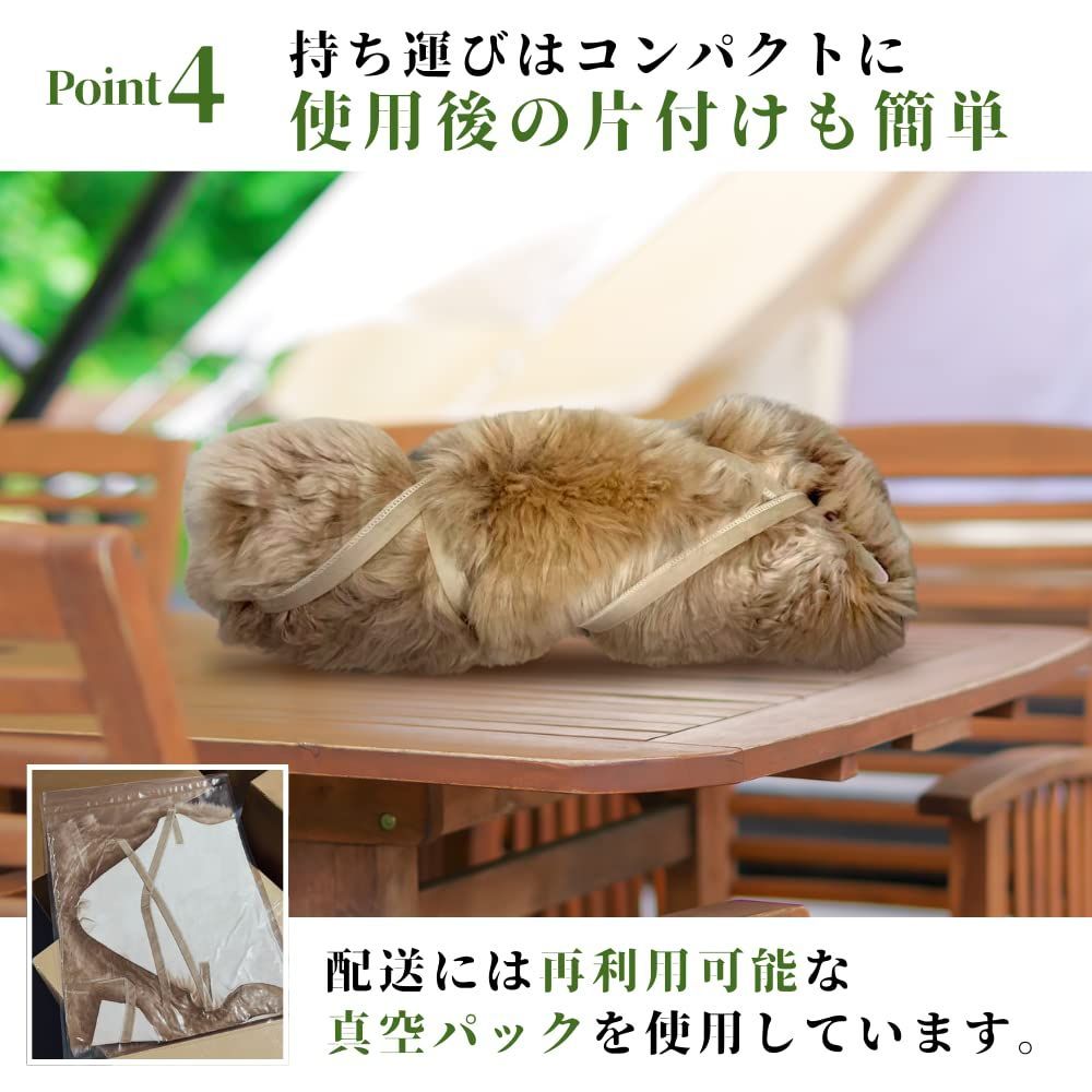 オーストラリア羊