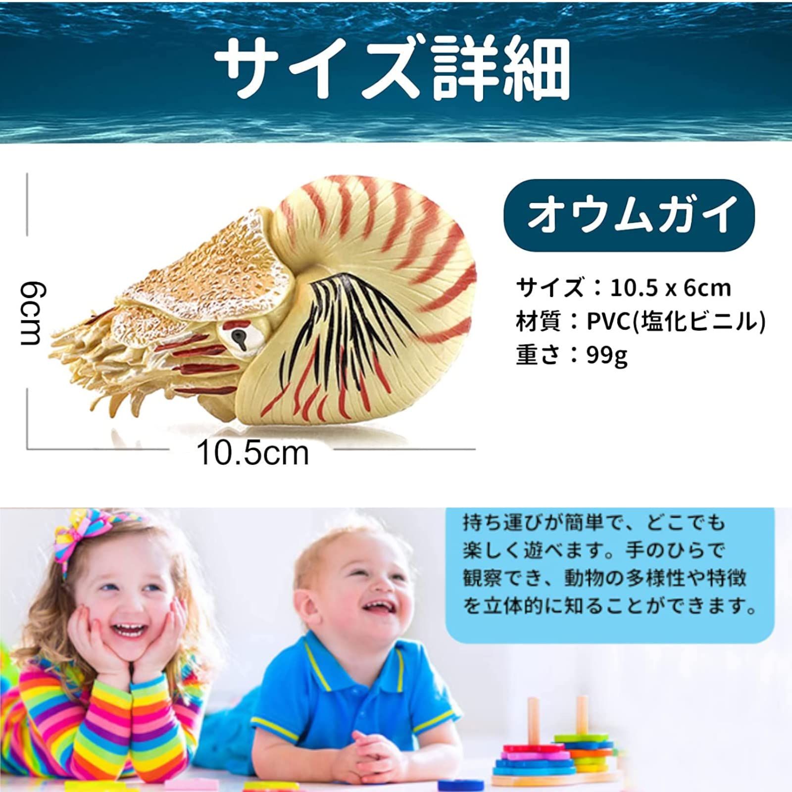アンモナイトセット001｜恐竜・化石グッズの専門店 ふぉっしる