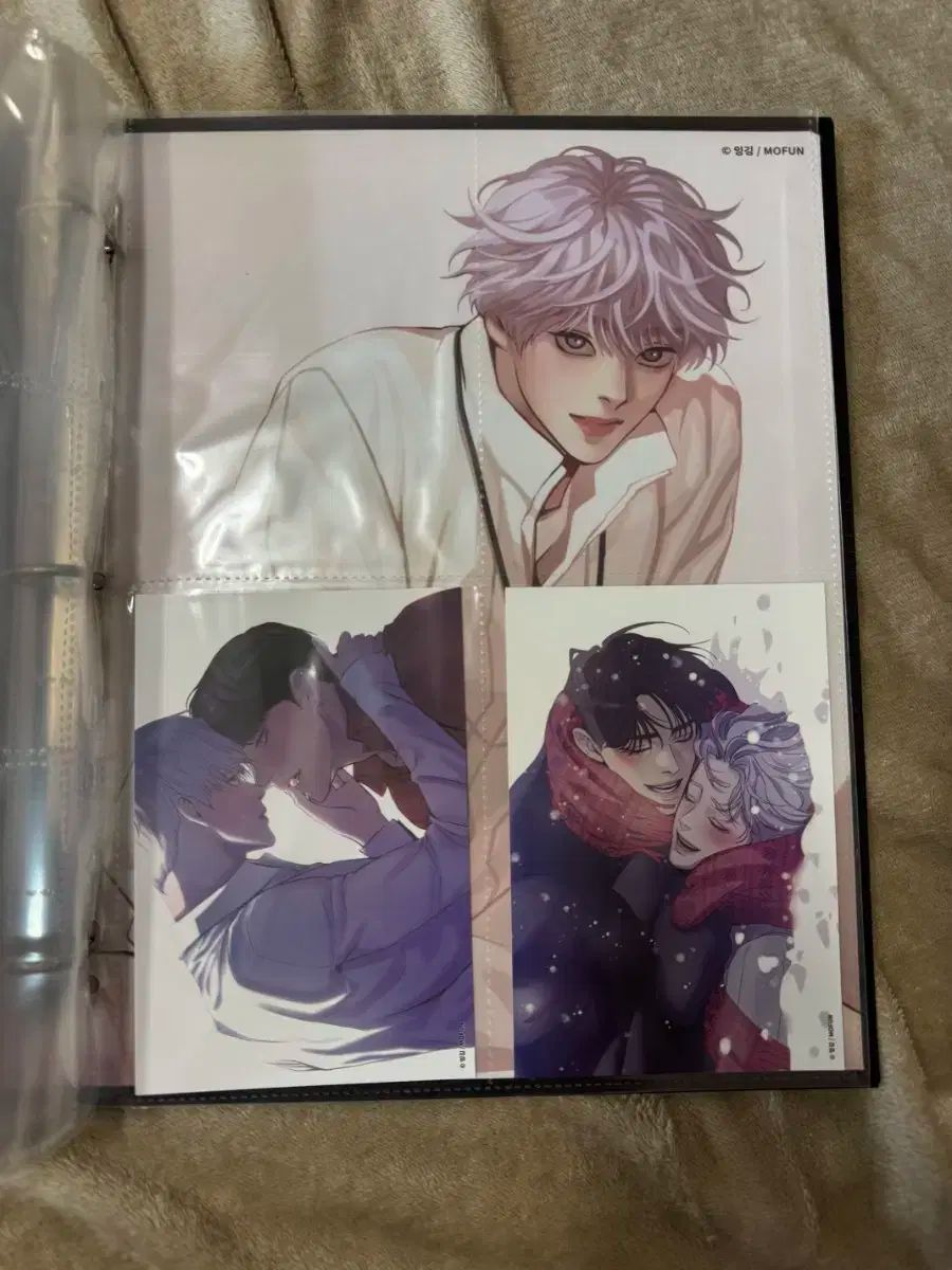 MOFUN バインダー 8個 まとめ アフィ Limited Run クラウド エネアド 等 まとめのみ