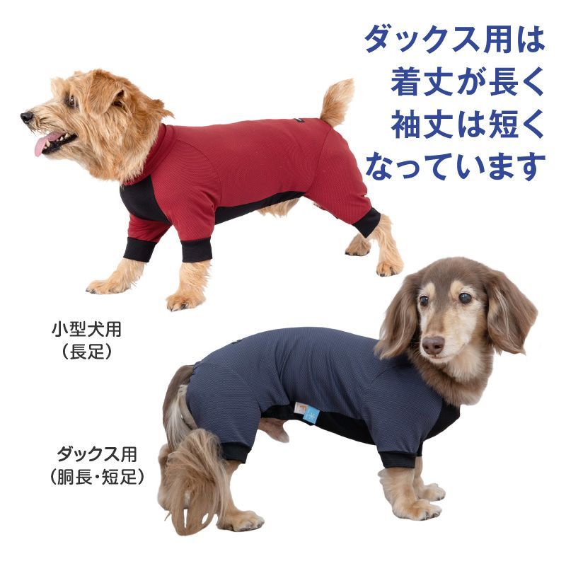 【新品】『D2Sサイズ』伸びて 着せやすい ドッグプレイ(R) 接触冷感 ストレッチ ハニカム ラッシュガード ダックス 小型犬用