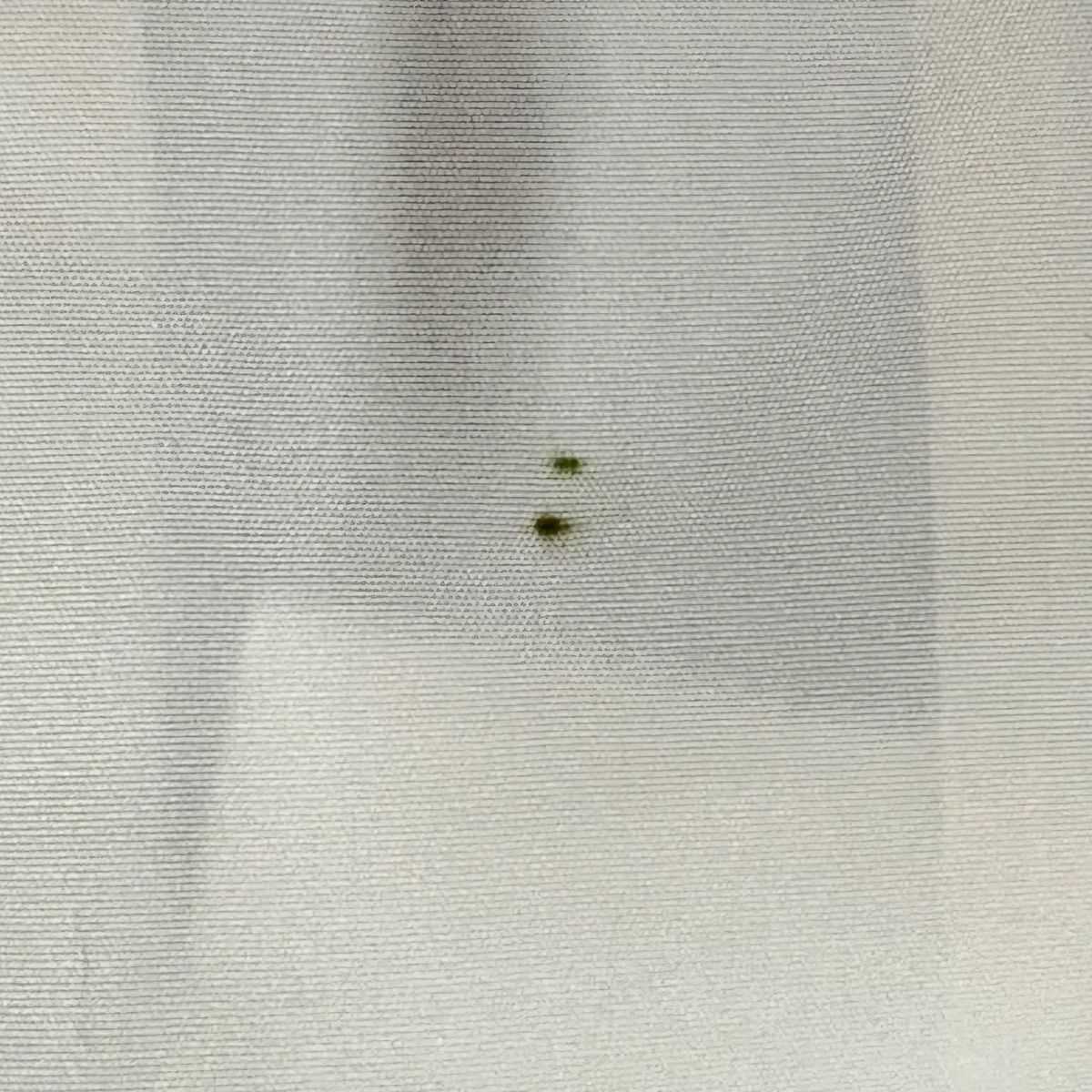 身丈163.5cm 裄丈65cm