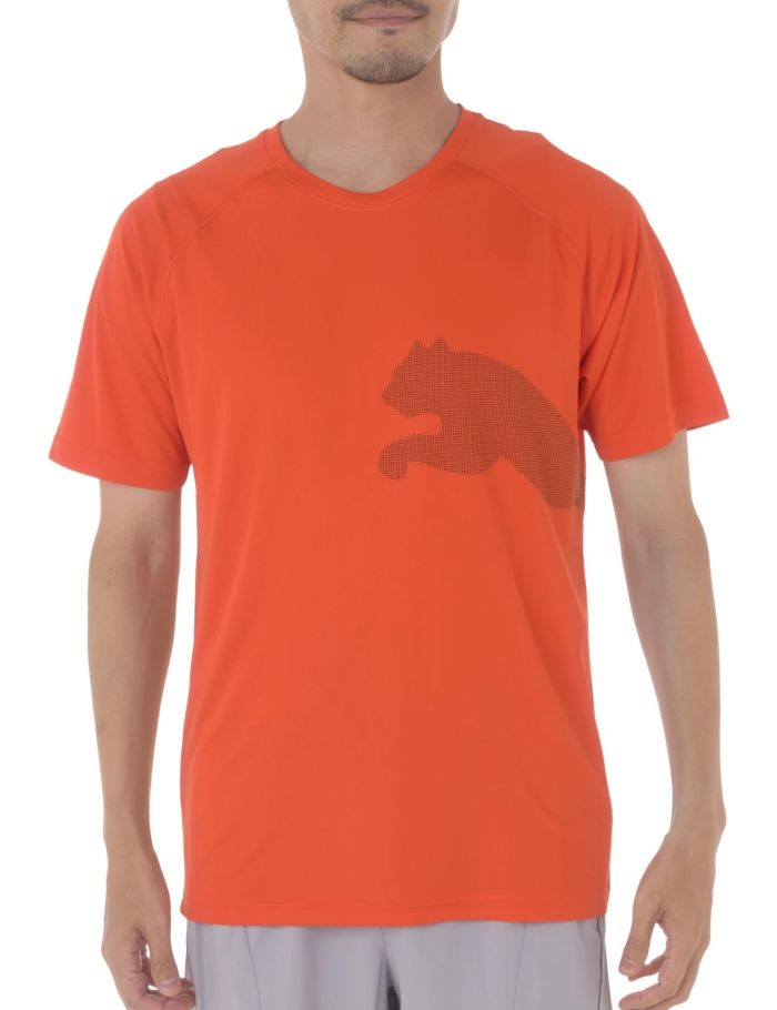 【新品・5営業日で発送】PUMA プーマ TRAIN_ALL_DAY_BIG_CAT (525939) 色 : REDMAZING サイズ : M 