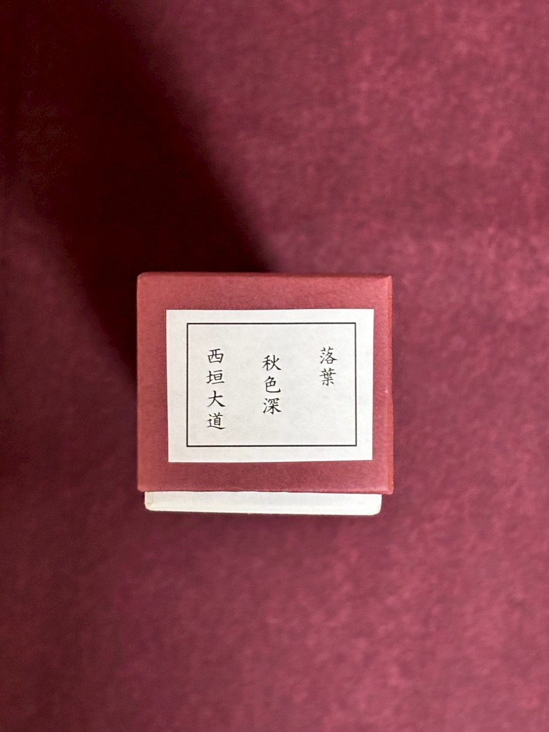 掛軸 落葉秋色深 西垣大道老師 書画一体 秋掛け