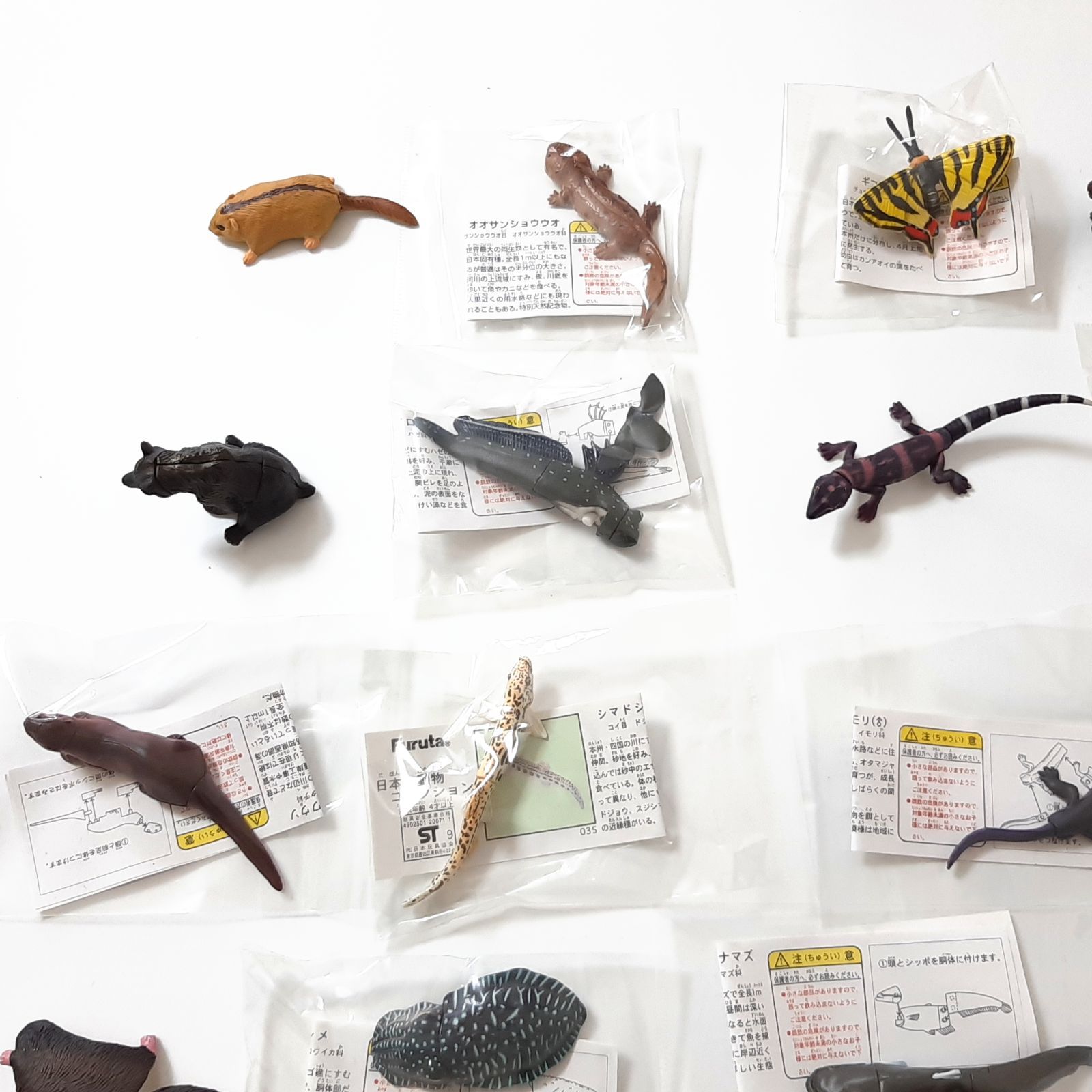 在庫有り チョコエッグ 日本の動物コレクション 分布地図 第1弾 24種 在庫有り チョコエッグ 日本の動物コレクション 分布地図 第1弾 24種