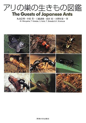 アリの巣の生きもの図鑑 丸山 宗利