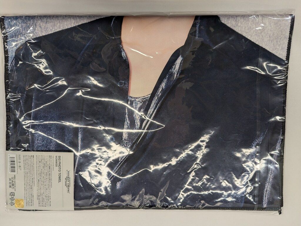 SEVENTEEN 2024 RIGHT HERE JAPAN DINO BIG PHOTO TOWEL