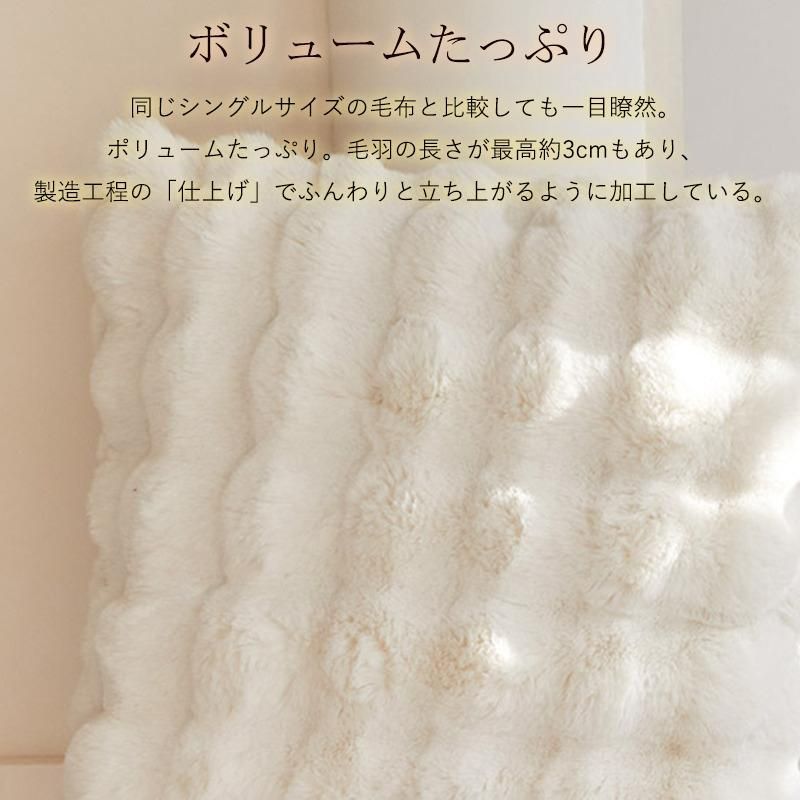 秋冬
