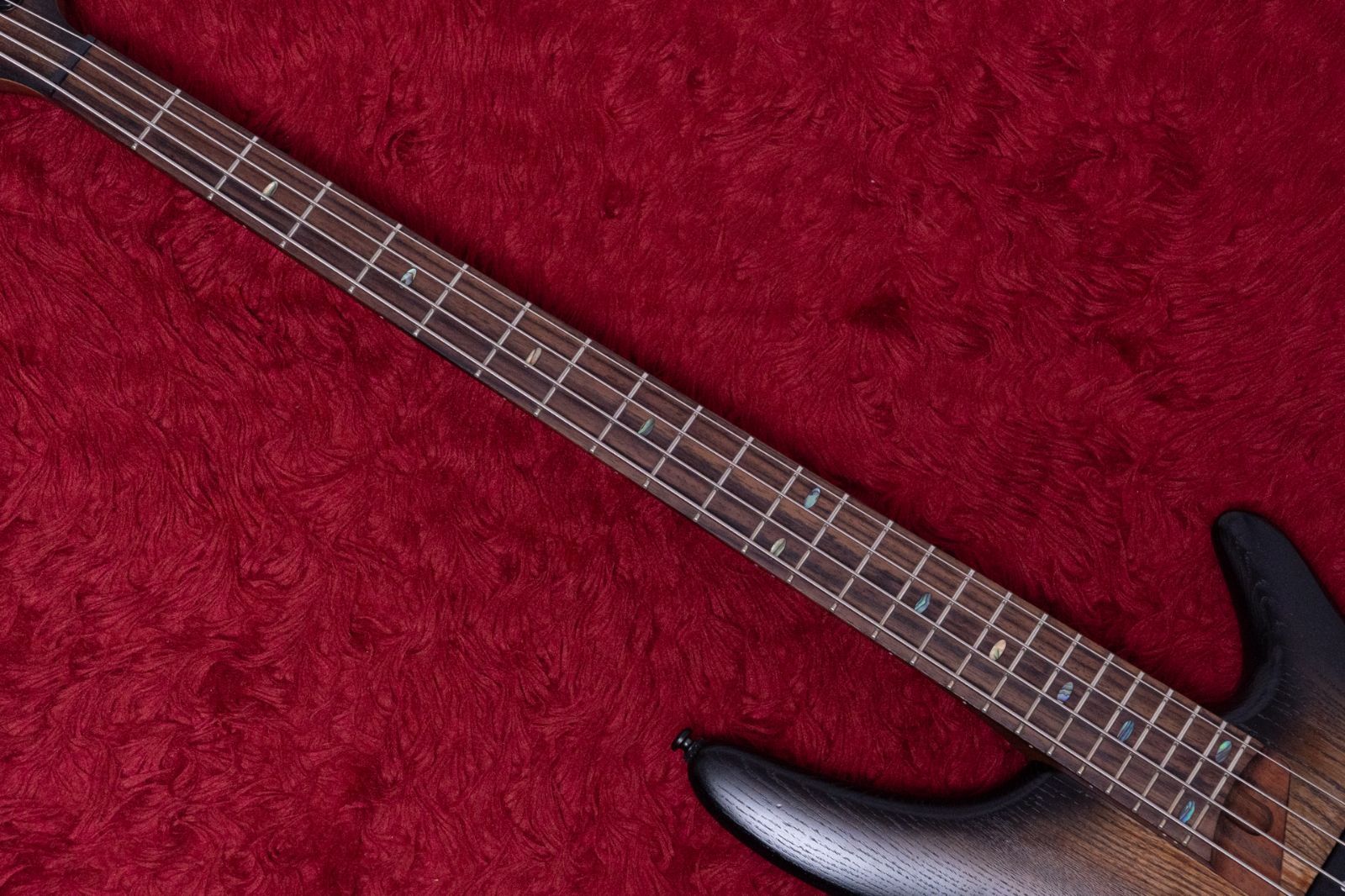 Ibanez |