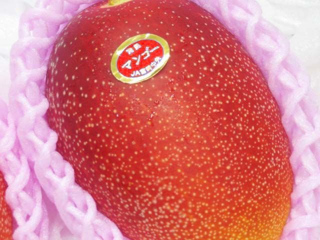 贈答用 品ではございません