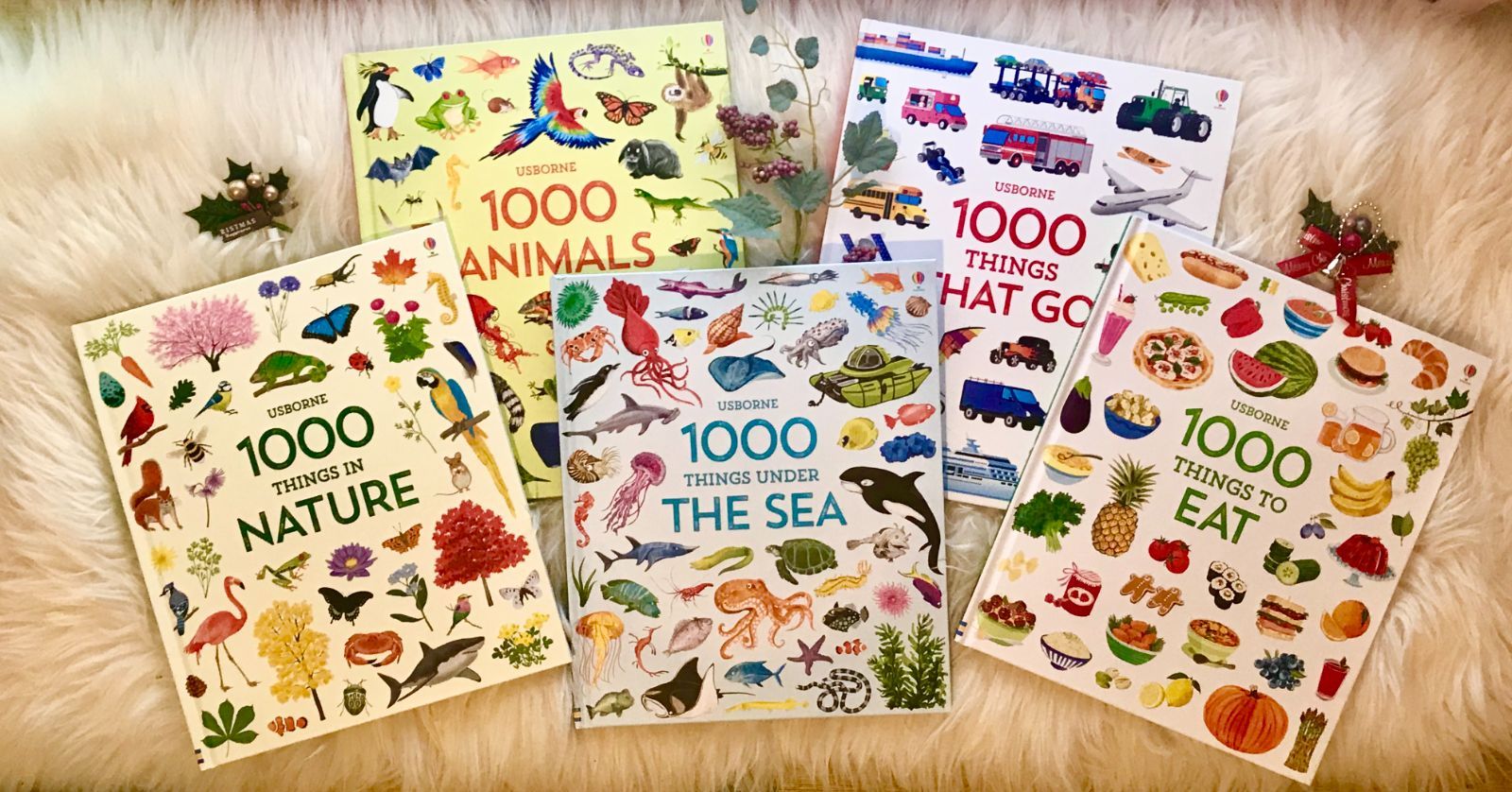 テーマ別の1000 Things英語図鑑 5冊セット 英語絵本 子供向け テーマ別