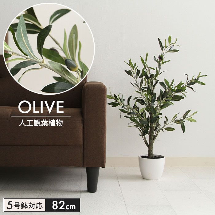 画像確認用です。 オリーブ_高さ 82cm 不二貿易 フェイクグリーン インテリアグリーン
