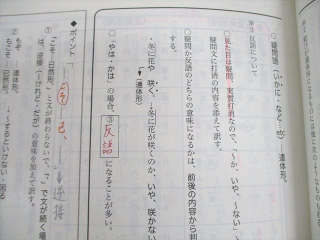 代々木ゼミナール 代ゼミ 早稲田大学 早大コース 現代文/古文/漢文 テキスト通年セット 2013 計11冊 ☆ 087L0D booksdream-store2_wz11-072