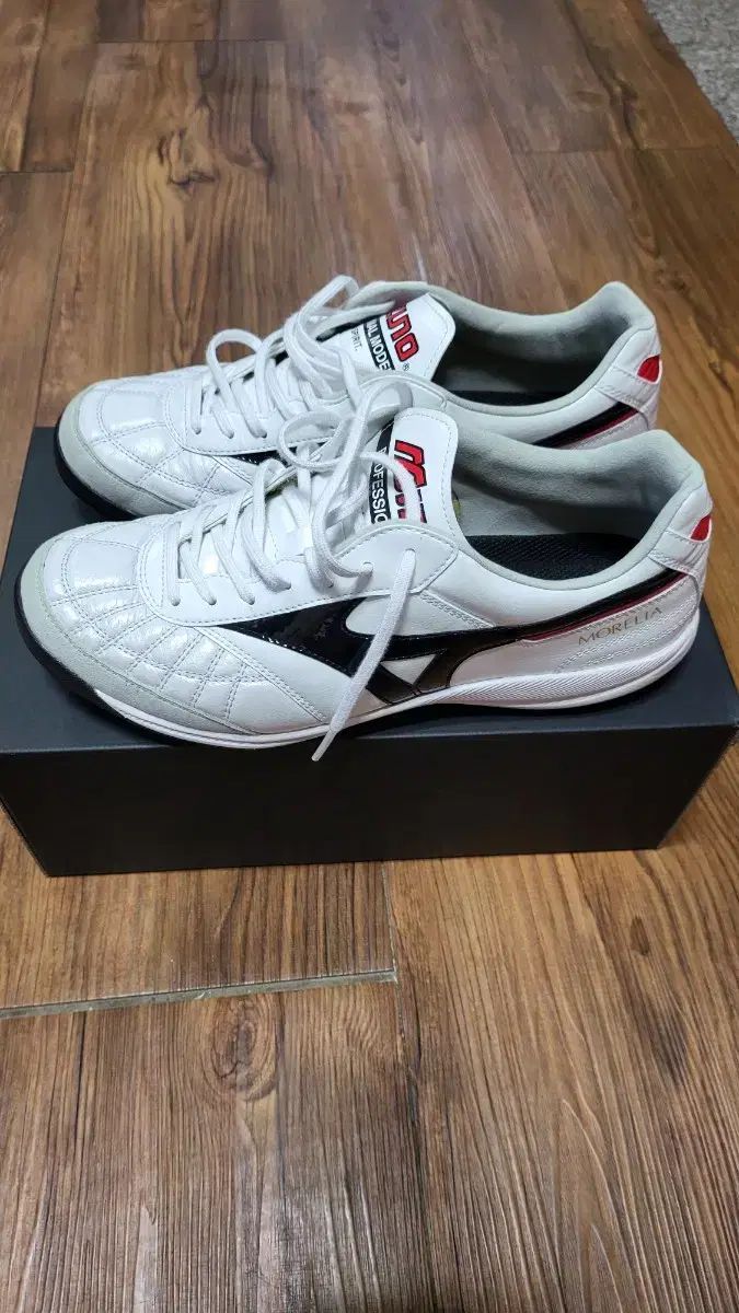 モレリアサラジャパン