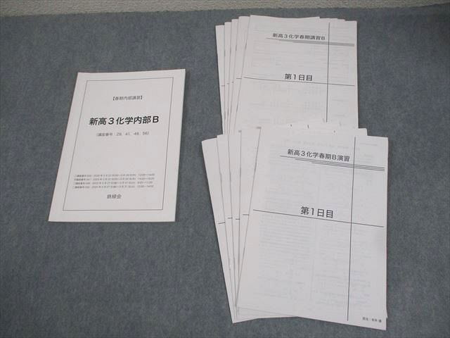 鉄緑会 新高3 春期講習 英語内部B テキスト、講義資料、解答一式