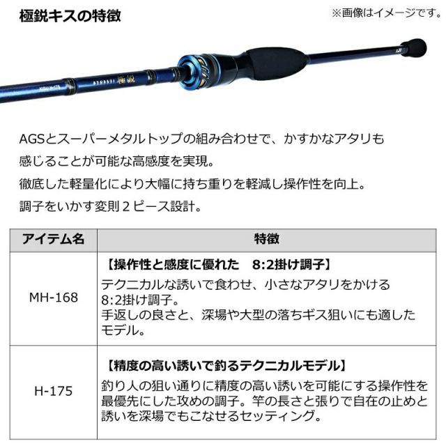 ダイワ 極鋭キス H175 エコメルカリ便希望 ダイワ 極鋭キス H-175 | 釣具 釣り フィッシング - メルカリ