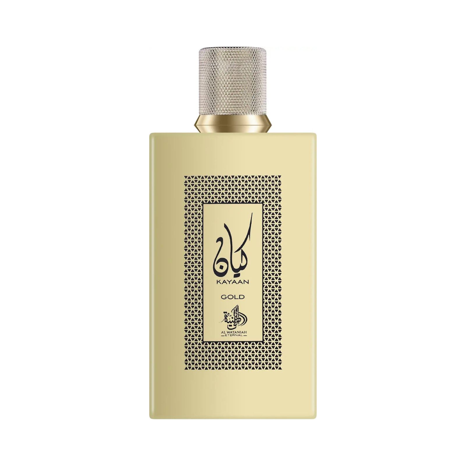 Al Wataniah Kayaan G EDP オードパルファム 100ml メンズ 香水 フレグランス