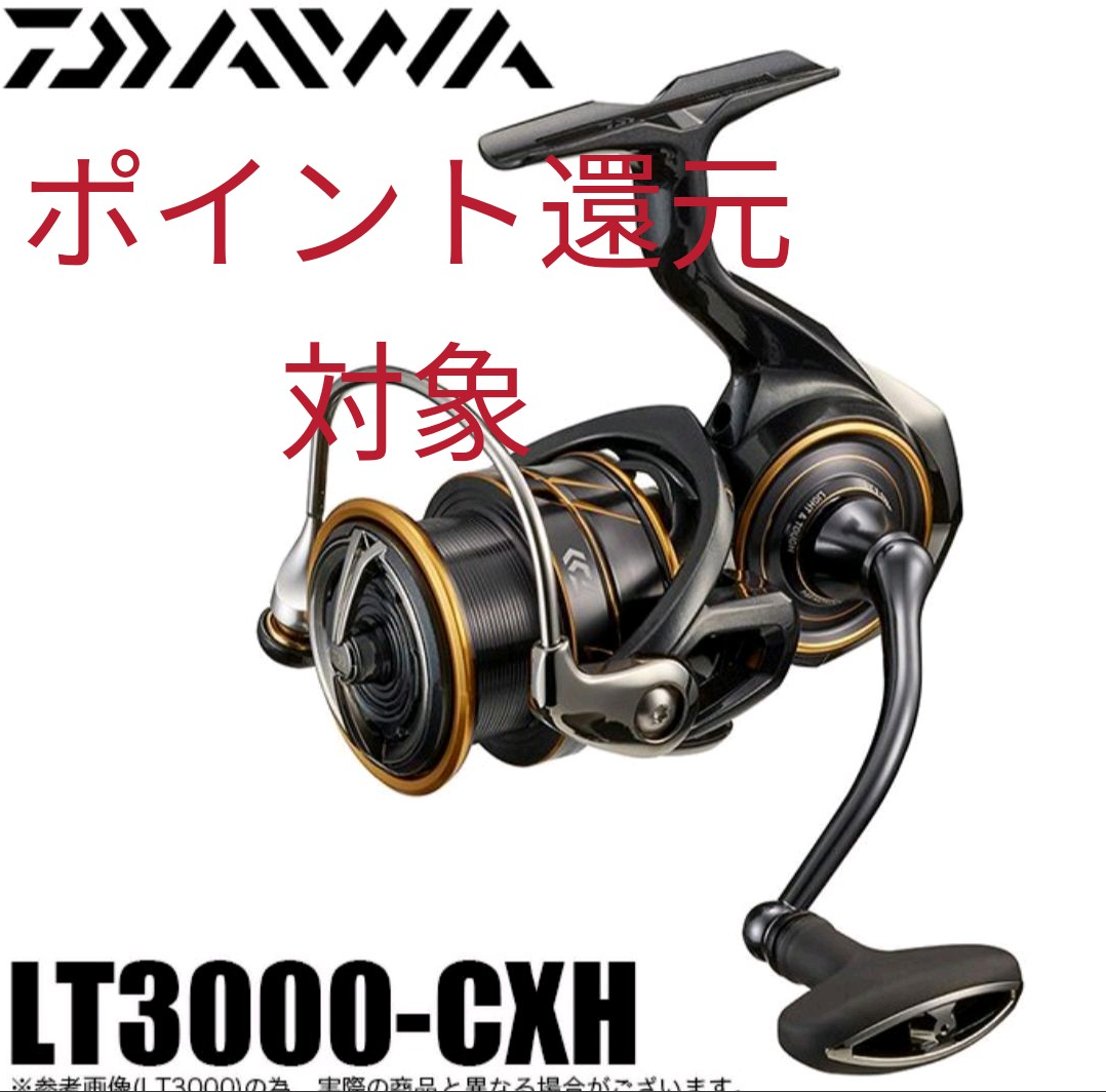 最大5000円OFFクーポン ダイワ 21カルディアLT3000 未使用 | ochge.org