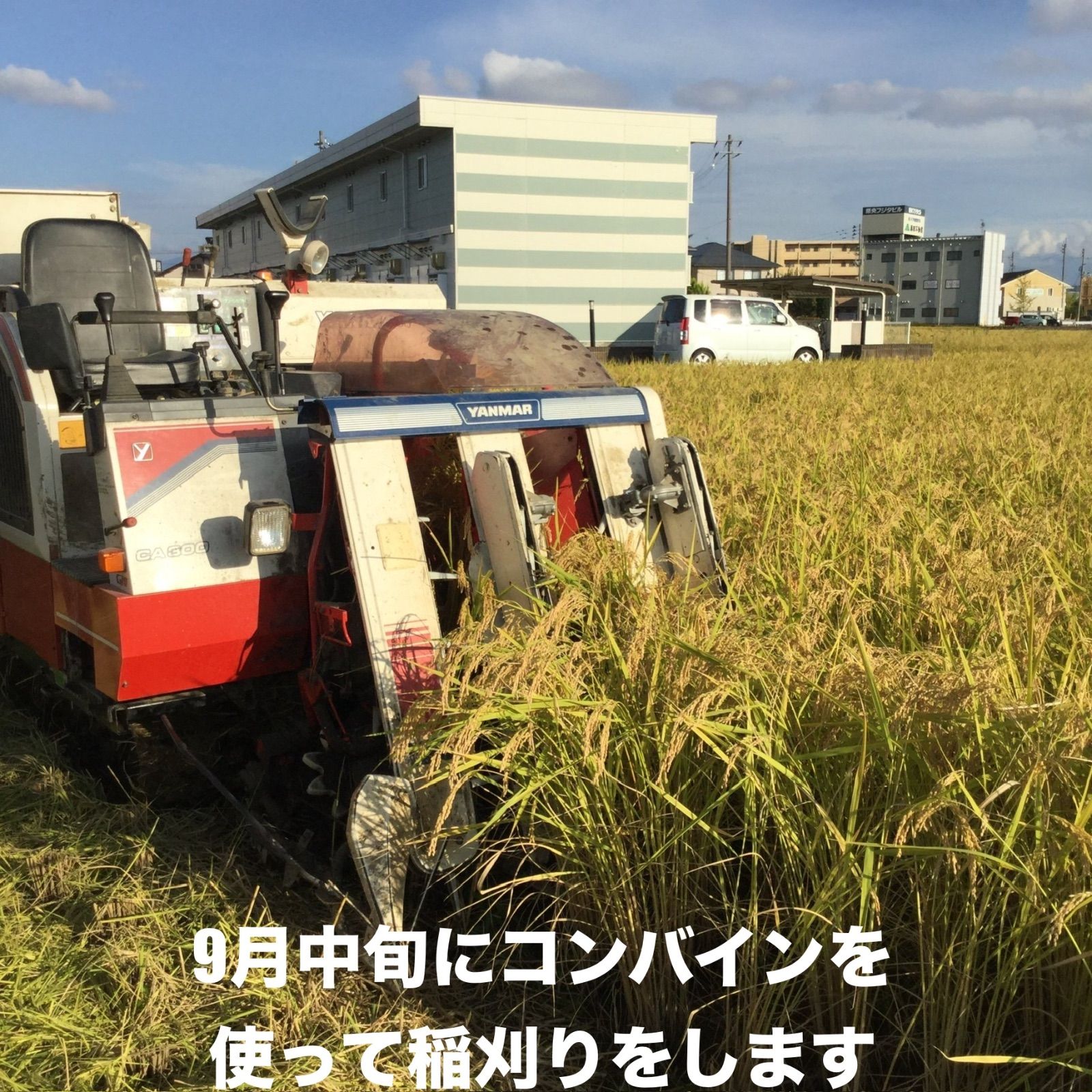 新潟県産従来コシヒカリ玄米
