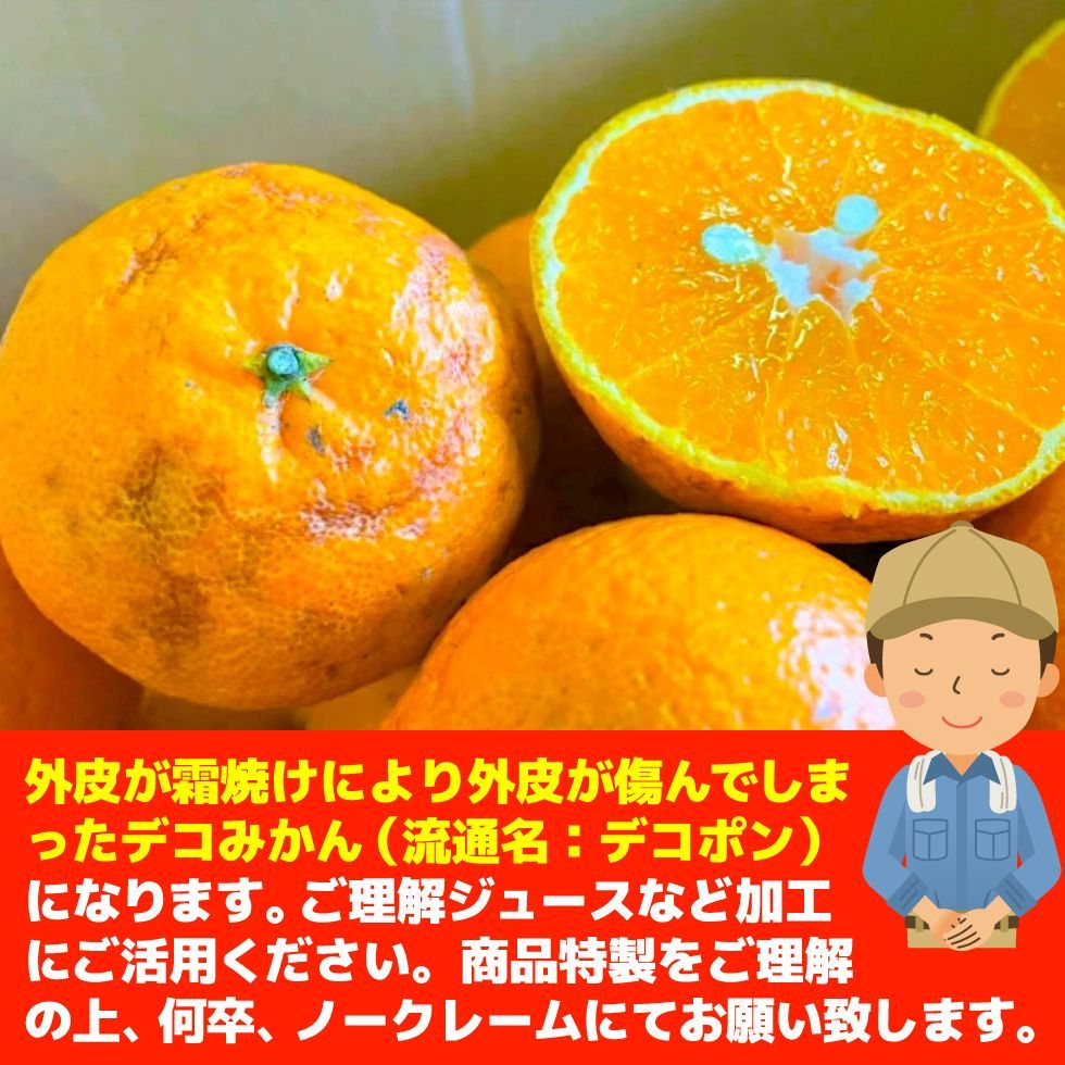 のサムネイル