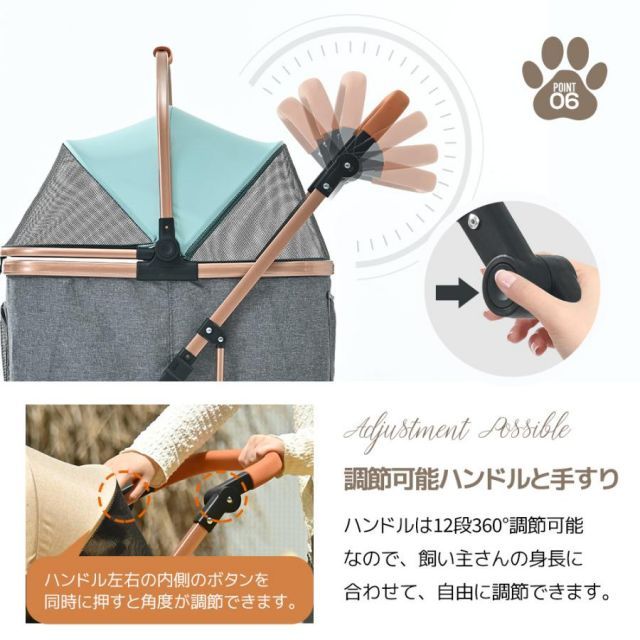 多頭 中型犬