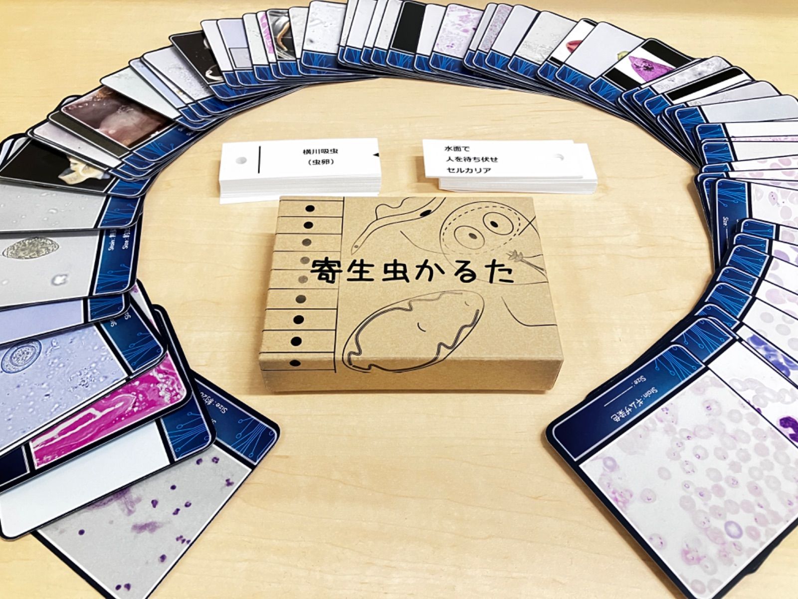 猫好きさん必見✨可愛すぎるオールねこちゃんのデッキ✨キャット