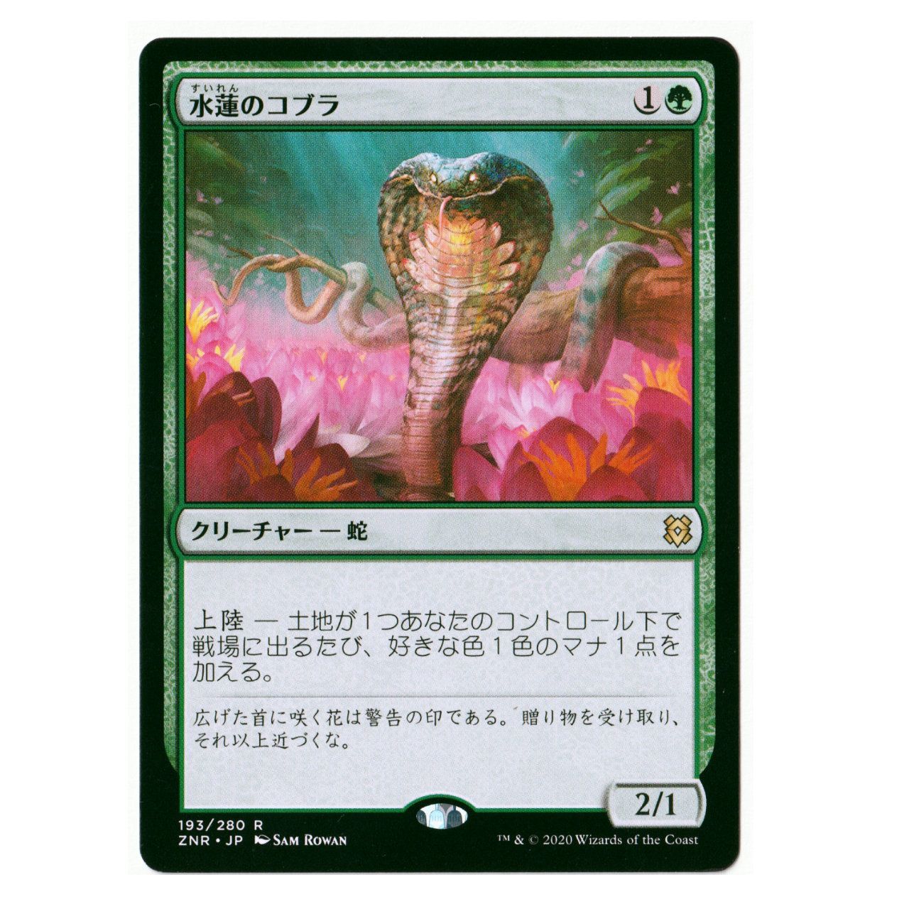 送料無料】MTG「水蓮のコブラ[ゼンディカーの夜明け]」 - メルカリ