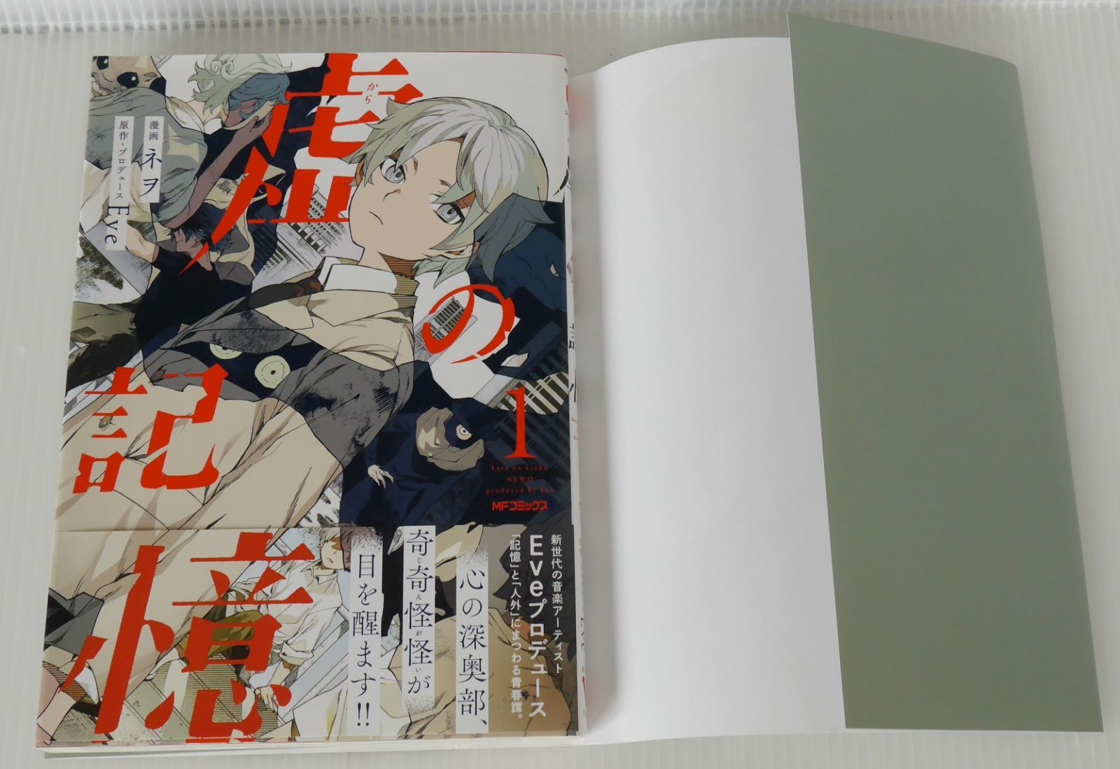 虚の記憶 1-5巻
