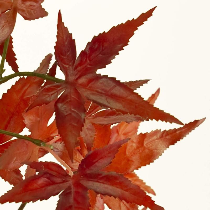 曽文　紅葉図　箱なし　MA913 s_20090508165019_41.jpg