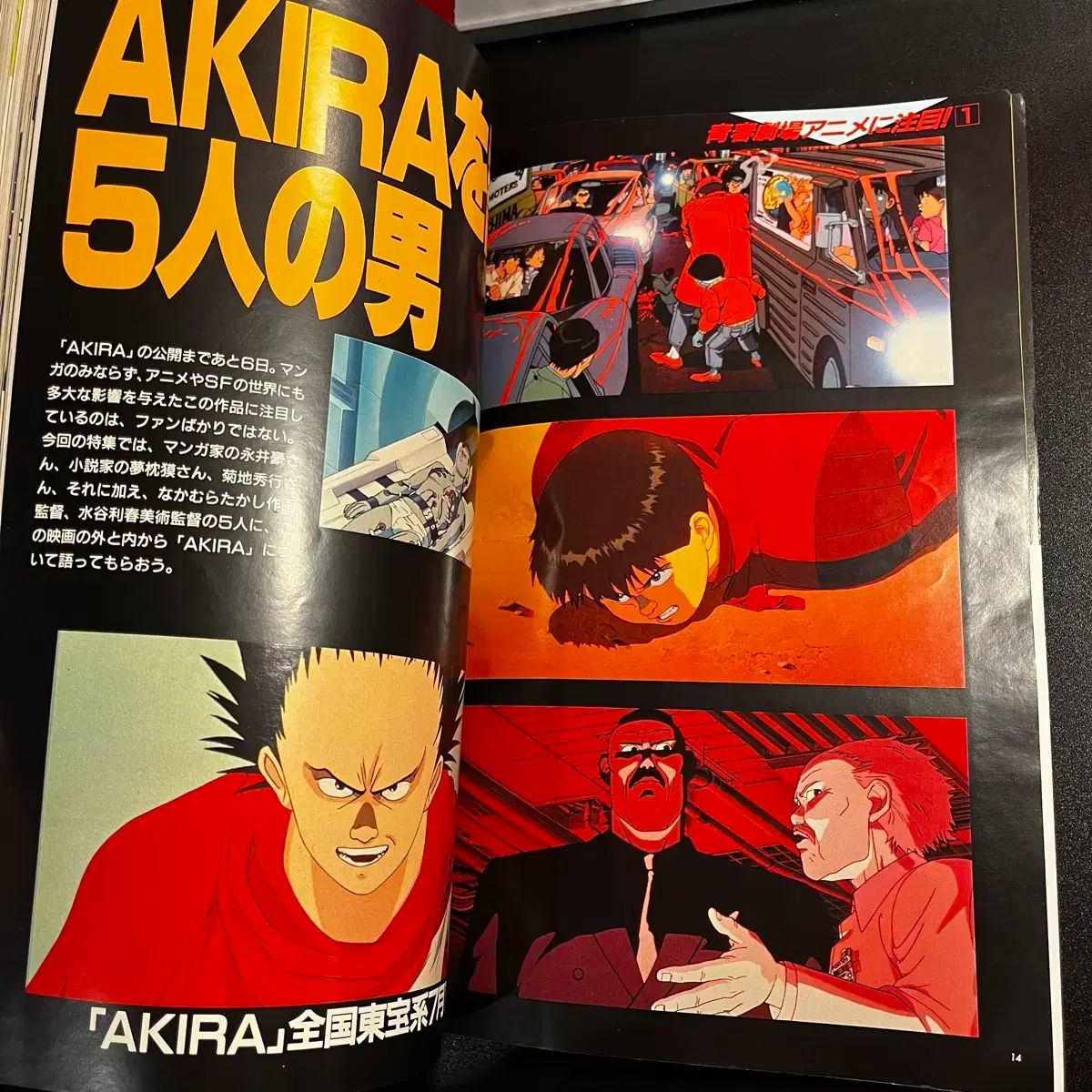 Wesselmann：トム・ウェッセルマン作品集 WESSELMAEN】TASCHEN 洋書