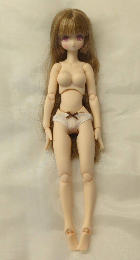 アゾン アルヴァスタリア プリム 箱入り令嬢のティータイム ピンクローズver WWW_STEELWINDOWSANDDOORS_COM