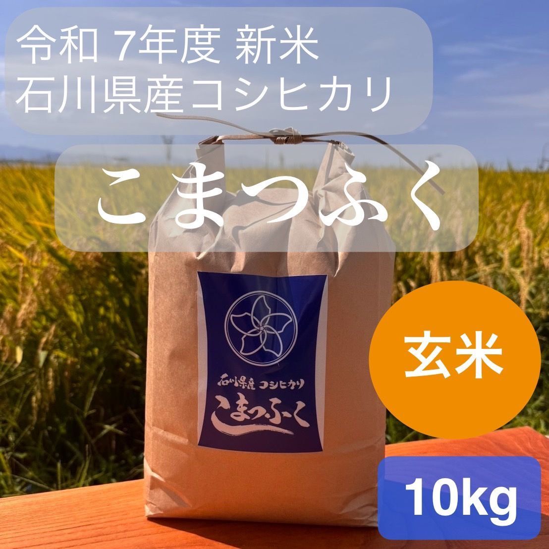 玄米 令和7年度 新米 こまつふく 10kg 5kg×2袋 石川県小松産コシヒカリ