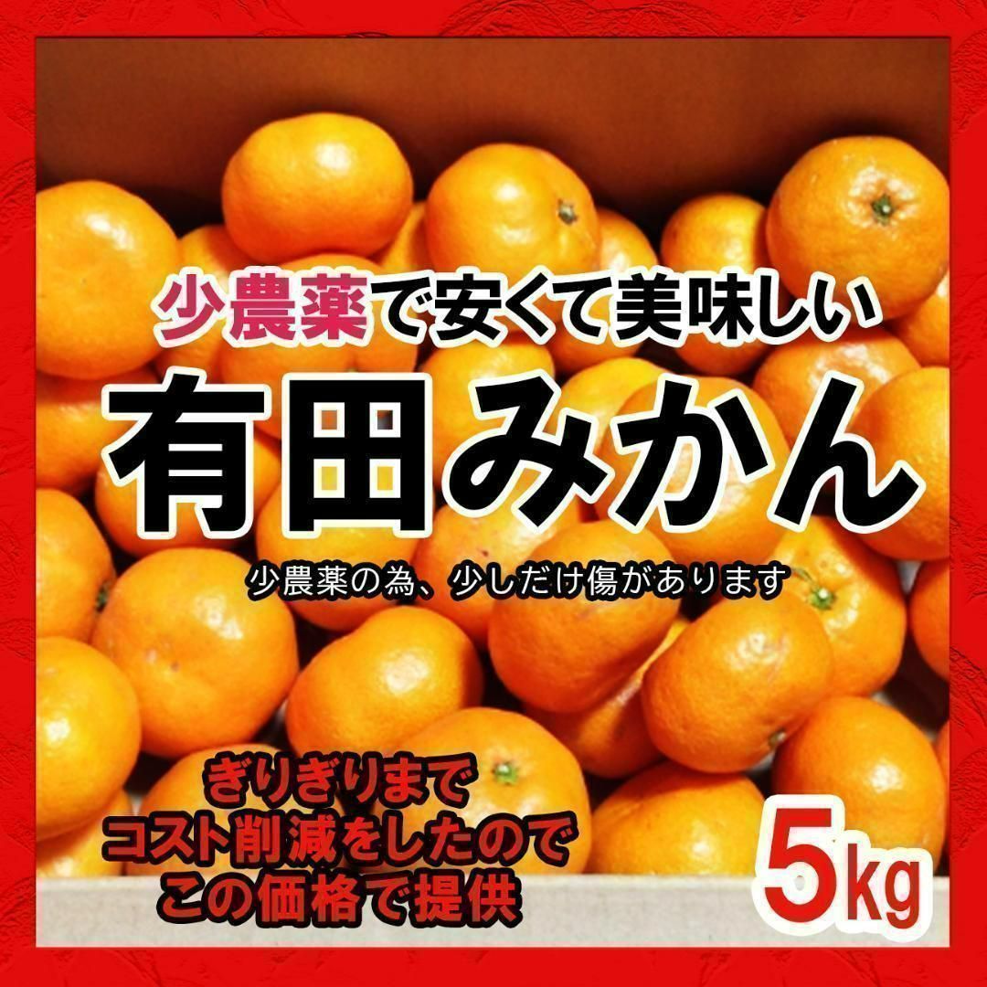 甘い！とにかく高いコスパ！数量限定！甘い 有田みかん5kg - 果物