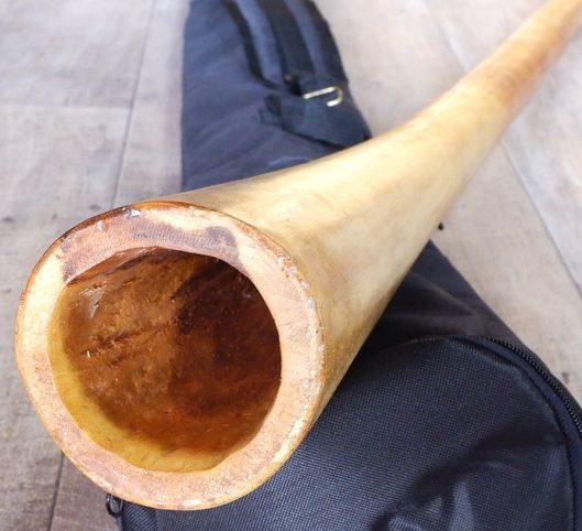 民族楽器 ディジュリドゥ ユーカリ ケース付き