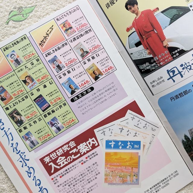 大霊界2 映画パンフレット 邦画☆紺A 1990年 丹波哲郎 - メルカリ