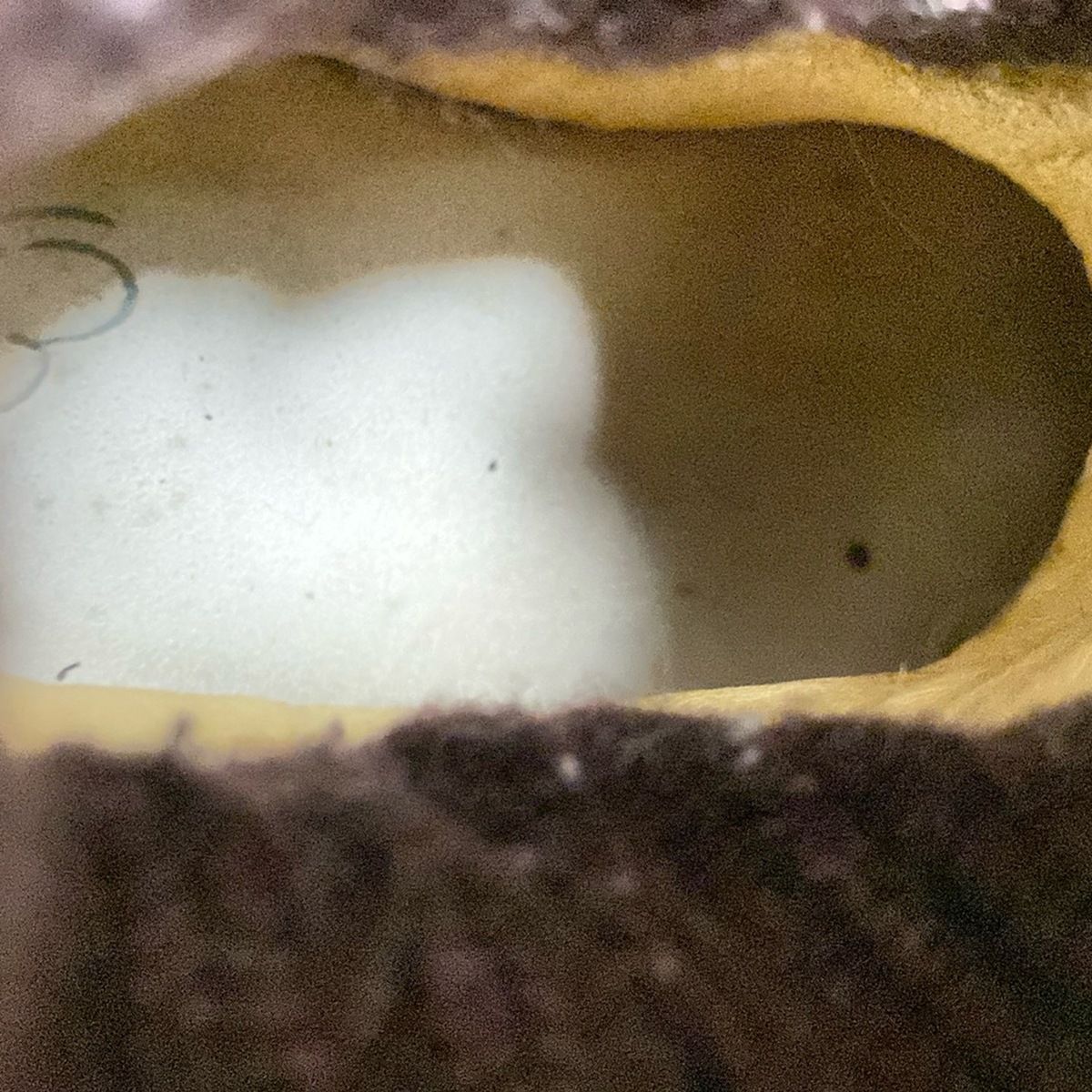 エスタシオン ブーツ