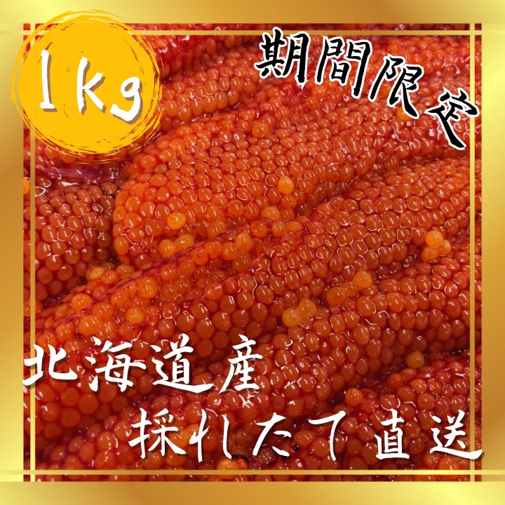 期間 北海道日高産 天然秋鮭 とれたて直送 小粒ながらも濃厚な味わいの生筋子