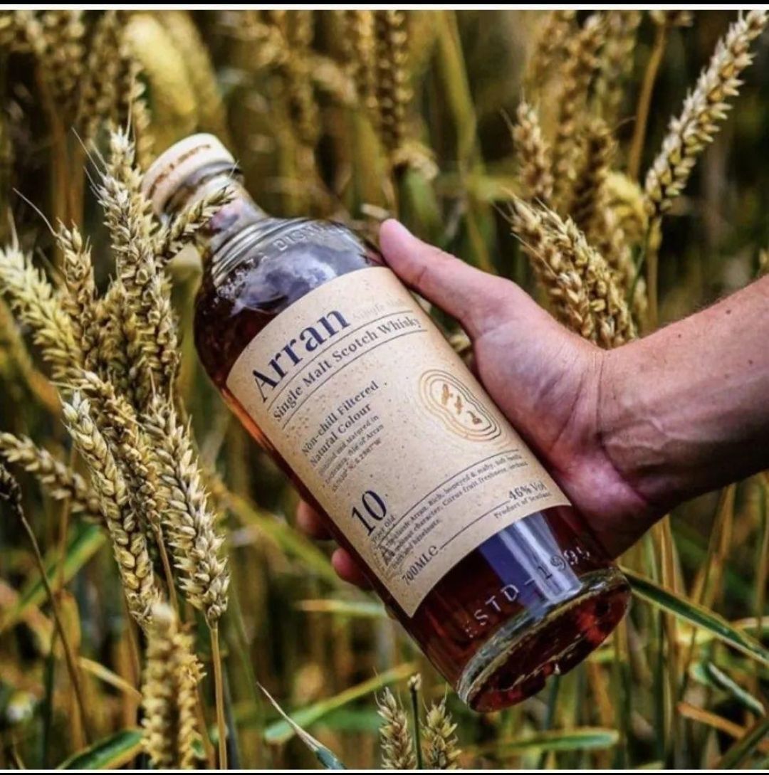 新品】希少！アラン10年 ウイスキー 700ml 2本 - メルカリ