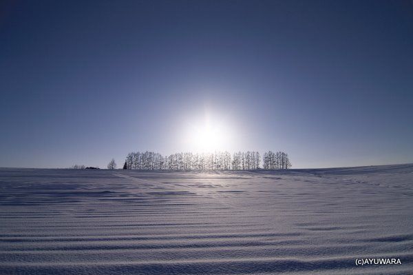 アートフレーム