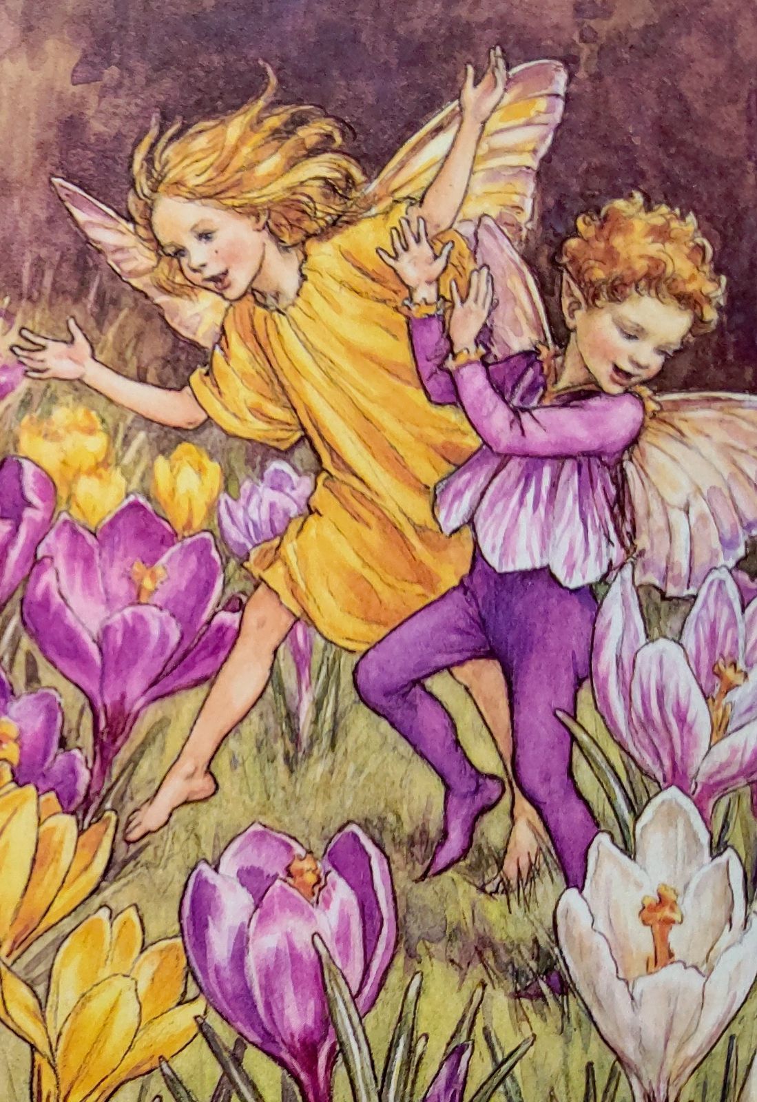 シャドーボックス 133 シャドーボックス ☆ プリント 8点セット フラワー C - メルカリ