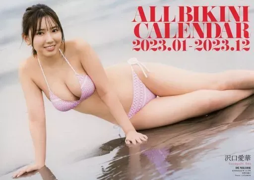 沢口愛華 2025年カレンダー⑥ : 沢口愛華 2025年 カレンダー 壁掛け CL25-0250 : 文房具