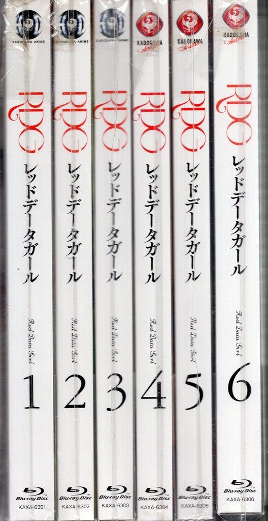 RDG レッドデータガール