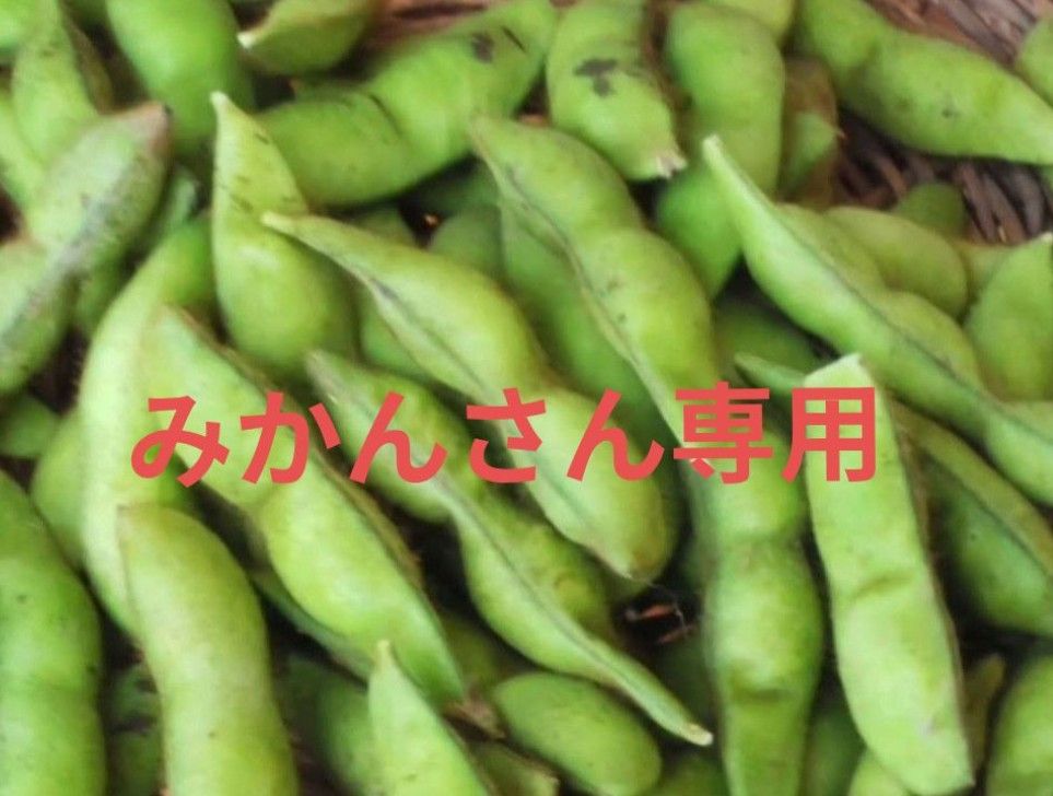 みかんさん です!! 枝豆&高糖度みかん詰め合わせ