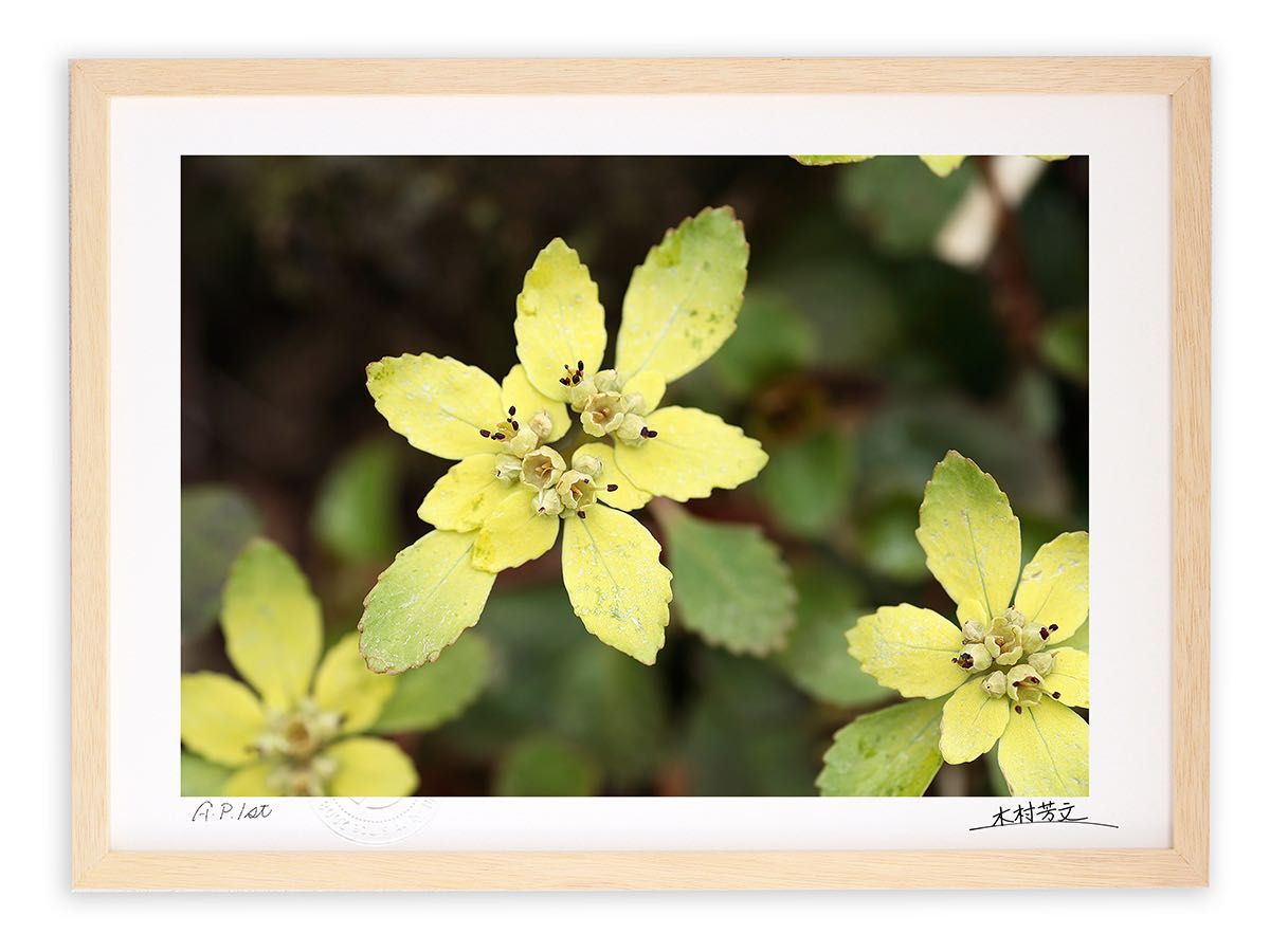 WESTSIDE GUNN BLIENTELE ヘッドバンド griselda Hermès-Level