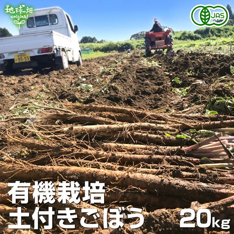 有機ごぼう 20kg 冷蔵便 鹿児島県産 宮崎県産 ゴボウ 牛蒡 化学肥料・農薬不使用 土付き 国産 有機栽培 有機JAS オーガニック organic