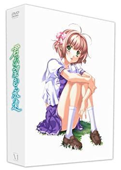 DVD 【】「未使用品」君が望む永遠DVD-BOX