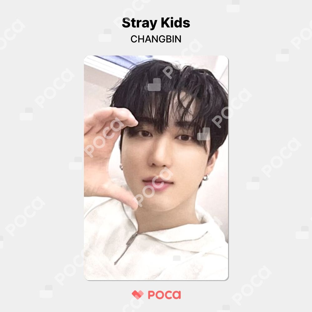 straykids スキズ チャンビン MYCT トレカ straykids チャンビン スキズ トレカ Stray Kids 2024 SEASON'S