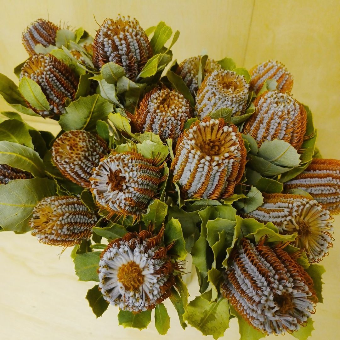 スワッグ140 新作＊wall decoration 140㎝ ＊ドライフラワーの横長