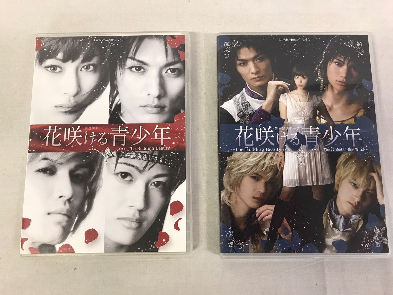 待望の再入荷! 舞台 異空間ステージ 花咲ける青少年 DVD | iuggu.ru