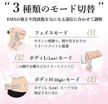 定価 18,480円】USAMIMIシェイプスティック/ワインレッド コロコロ